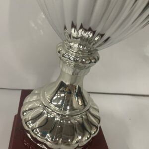 TROFEO ARGENTATO