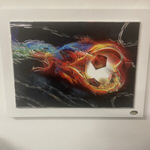 QUADRO CALCIO