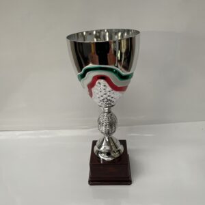 COPPA ITALIA H. 39