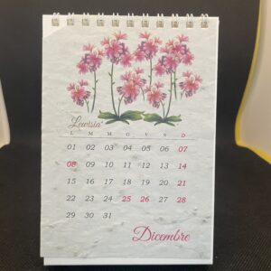 CALENDARIO PIANTABILE 14X10